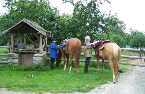 Saint-Hilaire-du-Harcouet Bed & Breakfast | Chambre d'hotes La Jaunais