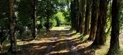 Saint-Andre-de-Cubzac Bed & Breakfast | Chambre de La Lagune