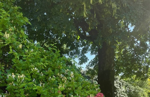 Saint-Laurent-sur-Gorre Bed & Breakfast | Chambre Avec Piscine et Parc Arboré