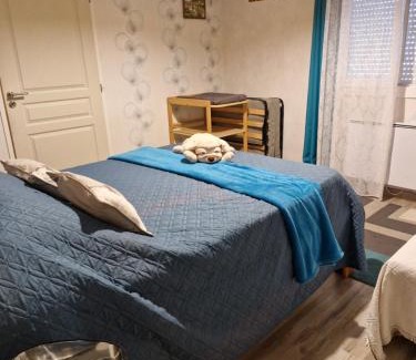 Saint-Pantaleon-de-Larche Bed & Breakfast | Chambre d hotes dans maison au calme et bien située pour visiter de nombreux sites