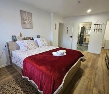 Sainte-Genevieve-des-Bois Apartment | Chambre d'hôte Aphrodite