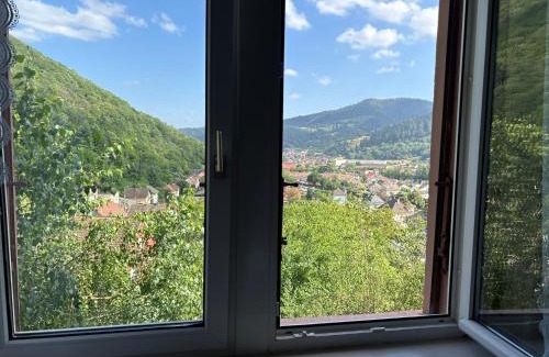 Saint-Amarin House | Chambre Gentiane 2 à 3 personnes wifi sdb partagée