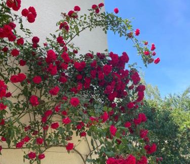 Besancon Bed & Breakfast | Chambre privée proche centre et gare 3