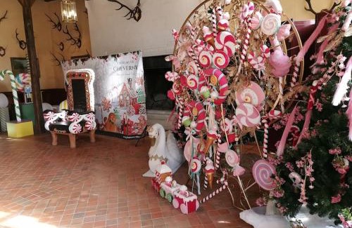 Mur-de-Sologne Apartment | CHAMBRE ROMANTIQUE