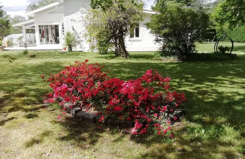 Arsac Bed & Breakfast | Chambres D'hôte Dans un Cadre Tranquille et Agreable