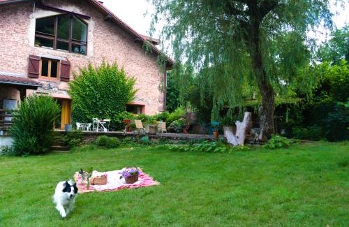 Docelles Bed & Breakfast | Chambres d'hôte Odile et les cycleux Lily