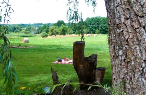 Docelles Bed & Breakfast | Chambres d'hôte Odile et les cycleux Lily