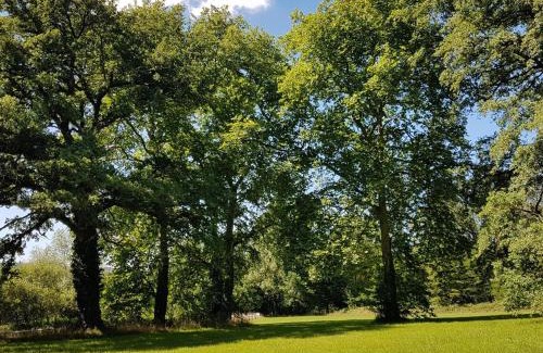 Cluis Bed & Breakfast | Chambres d'hôtes de charme au Château avec jardin et petit-déjeuner inclus - FR-1-591-689