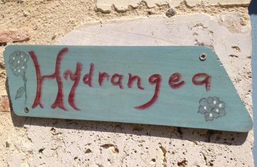 Sainte-Bazeille Bed & Breakfast | Chambres d'Hôtes du Clos Semper Felix