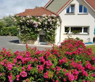 Berck-sur-Mer Bed & Breakfast | Chambres d'Hôtes La Villa des Hortensias
