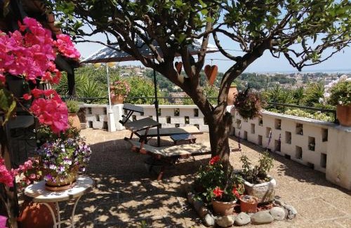 Cagnes-sur-Mer Bed & Breakfast | Chambres d'hôtes Les Terrasses du Soleil
