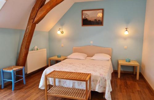Cravant Bed & Breakfast | Chambres d'hôtes rénovées près des châteaux de la Loire avec expérience ULM possible - FR-1-590-309