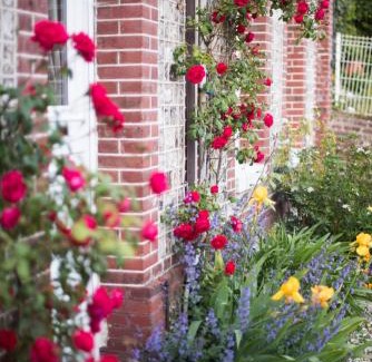 Yport Bed & Breakfast | Chambres d'Hôtes Stella Mare