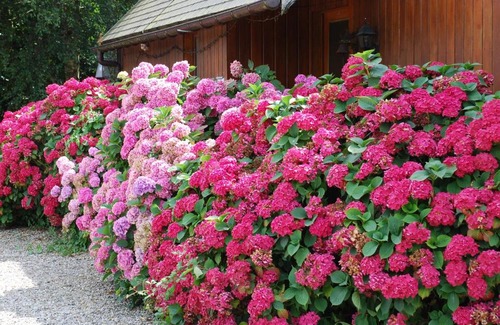 Crouay Bed & Breakfast | Chambres d'hotes du creulet