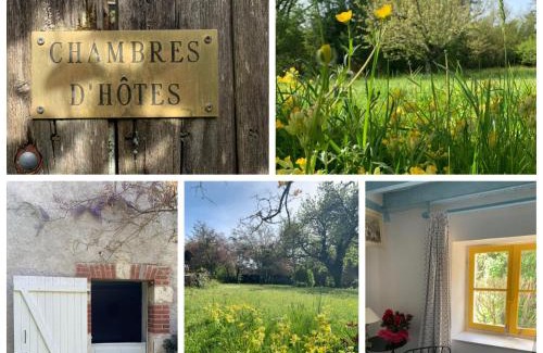 Molineuf Bed & Breakfast | Chambres d'Hotes Les Renardieres