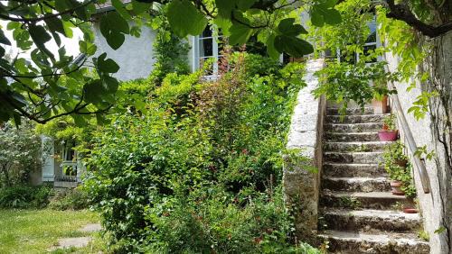Molineuf Bed & Breakfast | Chambres d'Hotes Les Renardieres