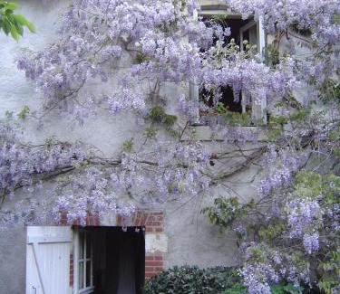 Molineuf Bed & Breakfast | Chambres d'Hotes Les Renardieres