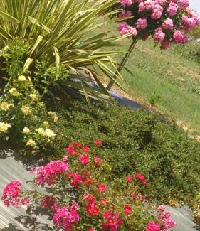 Senouillac Bed & Breakfast | Chambres et Tables d'Hotes "Au pres de ma Blonde"