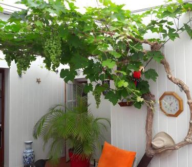 Ars-en-Re Bed & Breakfast | Chambres d’hôtes Chantal Hereaudeau