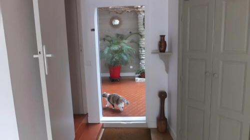 Ars-en-Re Bed & Breakfast | Chambres d’hôtes Chantal Hereaudeau
