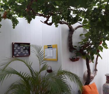 Ars-en-Re Bed & Breakfast | Chambres d’hôtes Chantal Hereaudeau