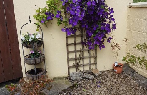 Ballyshannon Bed & Breakfast | Channel View