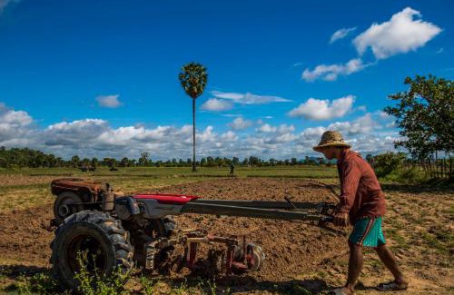Sout Nikom House | Chansor Homestay 12 By Siem Reap Homesteading