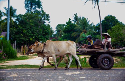 Sout Nikom House | Chansor Homestay 4 By Siem Reap Homesteading