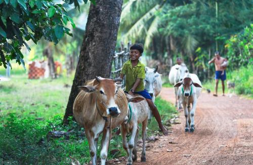 Sout Nikom House | Chansor Homestay 2 By Siem Reap Homesteading