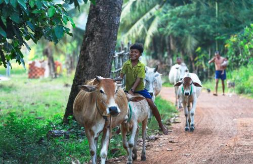 Sout Nikom House | Chansor Homestay 17 By Siem Reap Homesteading