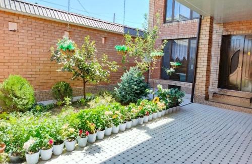 Tashkent House | Chaqar