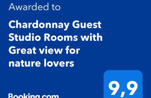 Ilgaz House | Chardonnay Guest Studio Rooms with Great view for nature lovers