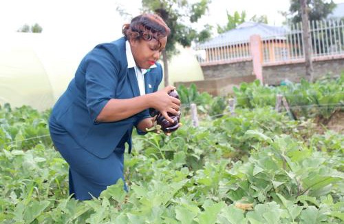 Naivasha House | CHARIS FARM AIR b&b