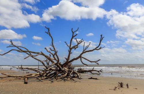 Folly Beach Villa | Charleston Oceanfront Villas 110