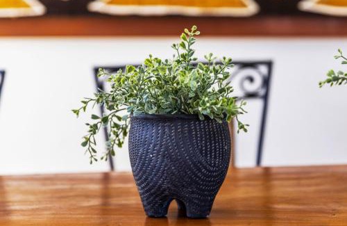 Sawtell Apartment | Charlesworth on Elizabeth