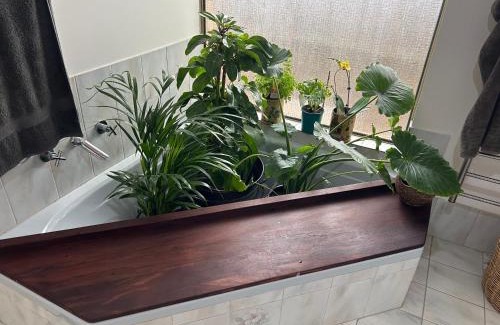 City Centre House | Charlottes Sanctuary