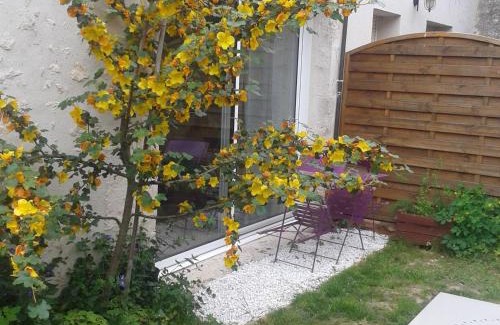 Saint-Hilaire-Saint-Mesmin House | Charmante maison près des châteaux de la Loire avec jardin fermé et animaux bienvenus - FR-1-590-65