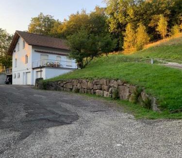 Saint-Maurice-sur-Moselle House | Charmante Maison Blanche