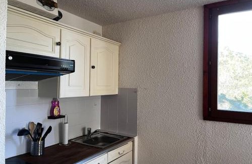 La Colmiane Apartment | Charmant 2 p proche activité