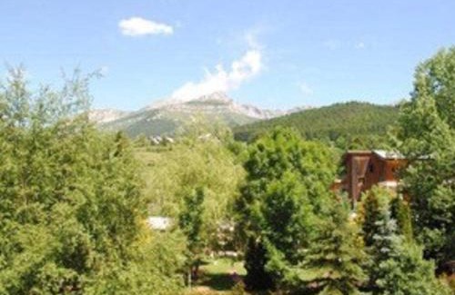 Villard-de-Lans Apartment | Charmant 2 pièces, dernier étage, calme, navette ski, ludiparc, non-fumeur, animaux OK - FR-1-515-113