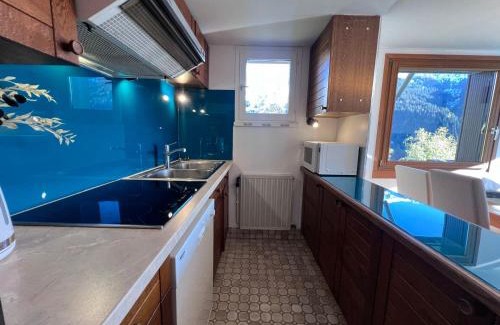 La Clusaz Apartment | Charmant appart 2 ch avec balcon et wifi à La Clusaz - FR-1-437-108