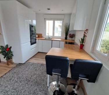 Cros-de-Cagnes Apartment | Charmant appartement cosy plage, gare, centre-ville