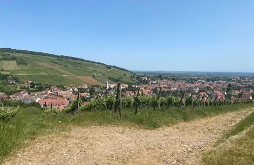 Barr Apartment | Charmant appartement 4/6 pers.