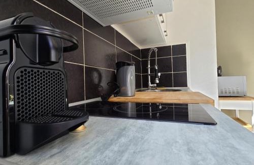 Tarbes Apartment | Charmant appartement chambre, cuisine et salle de bain avec balcon sur Jardin Massey