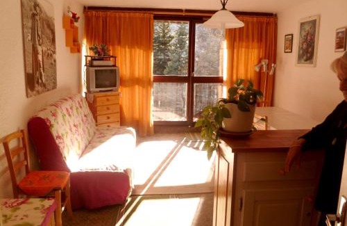 Le Super-Sauze Apartment | Charmant appartement à Enchastrayes 38 m² avec vue montagne
