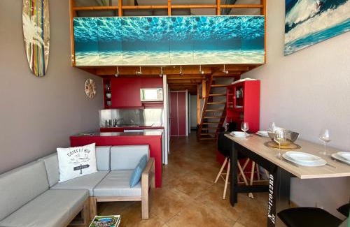 Mimizan-Plage Apartment | Charmant appartement vue océan 6p