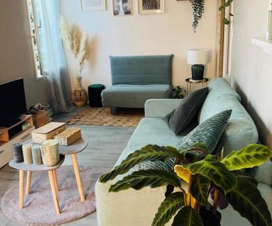 Pont des Demoiselles-Montaudran-La Terrasse Apartment | Charmant & Cosy T2 Toulousain