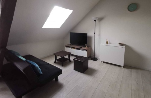 Bourges Apartment | Charmant Duplex /Marais-centre