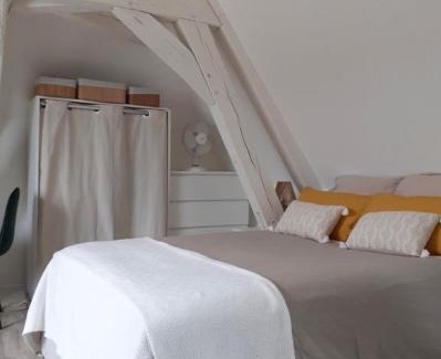 Nogent-le-Rotrou Apartment | Charmant et cosy appartement