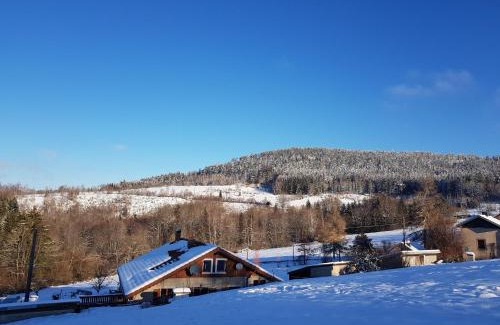 Le Tholy House | Charmant meublé au calme, proche cascades, randos, chevaux, parking et terrasse privée, WiFi gratuit - FR-1-589-365